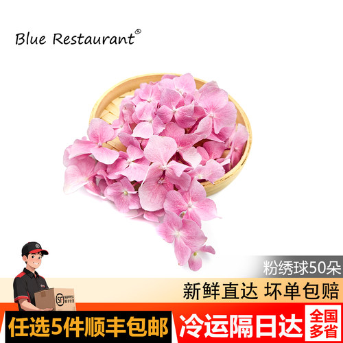 新鲜粉色绣球花50朵果盘装饰