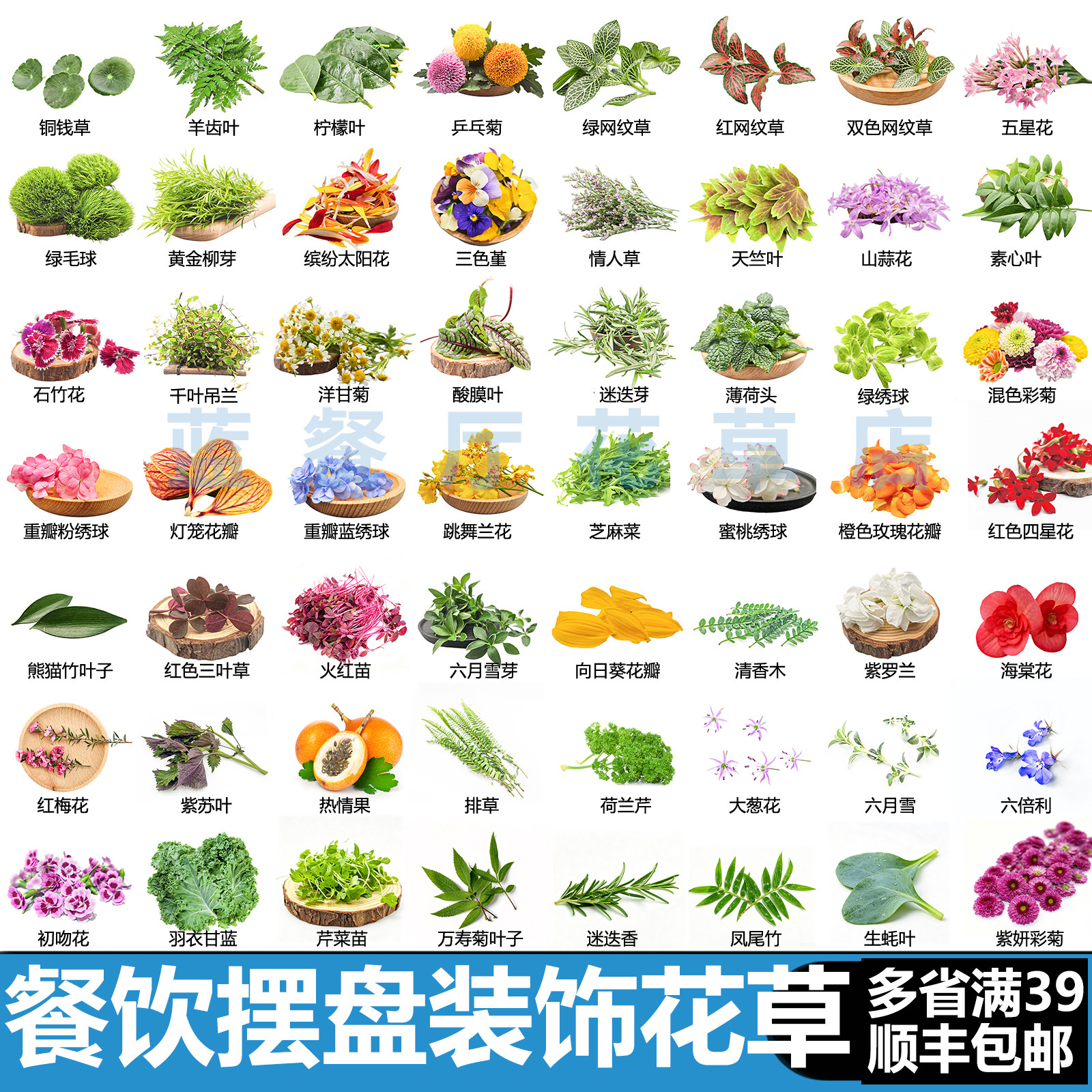 新鲜摆盘花草餐饮冷菜摆盘花草