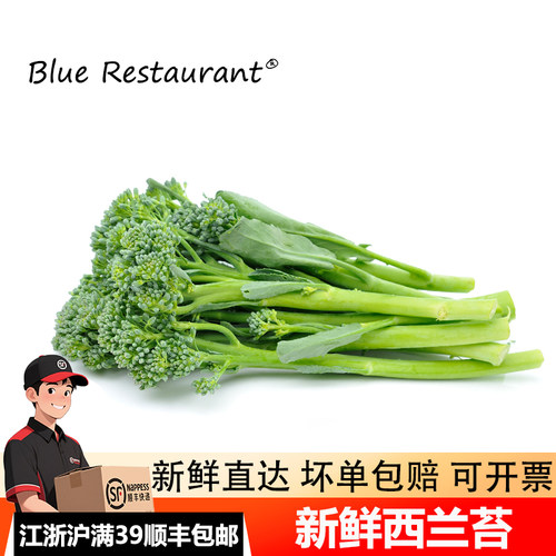西兰苔1斤新鲜西兰花苔青花苔
