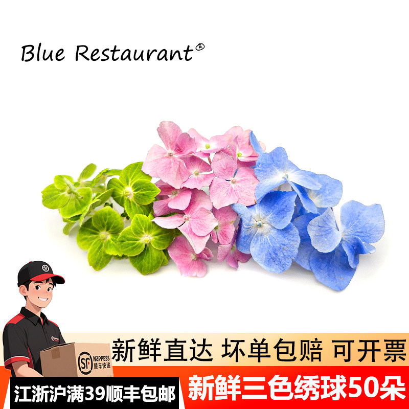 三色绣球花50朵摆盘鲜花装饰