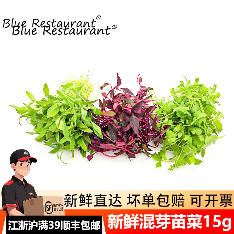 新鲜三色混合苗火红苗甜菜苗香菜芽苗西餐日料刺身摆盘装饰沙拉菜,水产肉类/新鲜蔬果/熟食,其它,淘宝优惠券,粉丝福利购,淘宝优惠卷