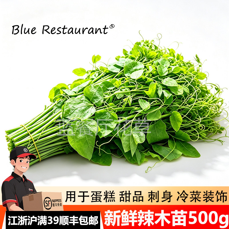 新鲜辣木苗龙须菜野菜特色蔬菜