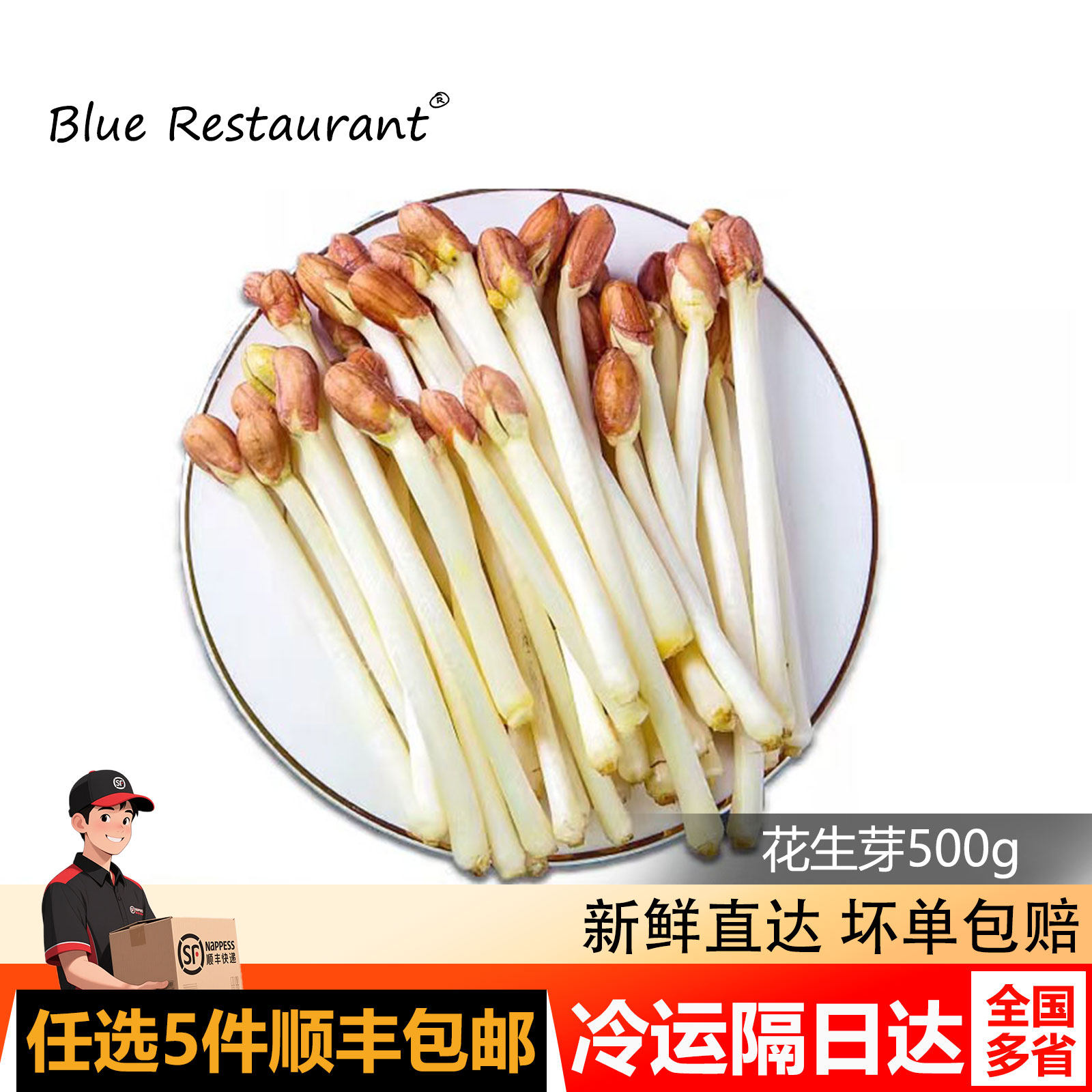 蓝餐厅新鲜花生芽500g食用