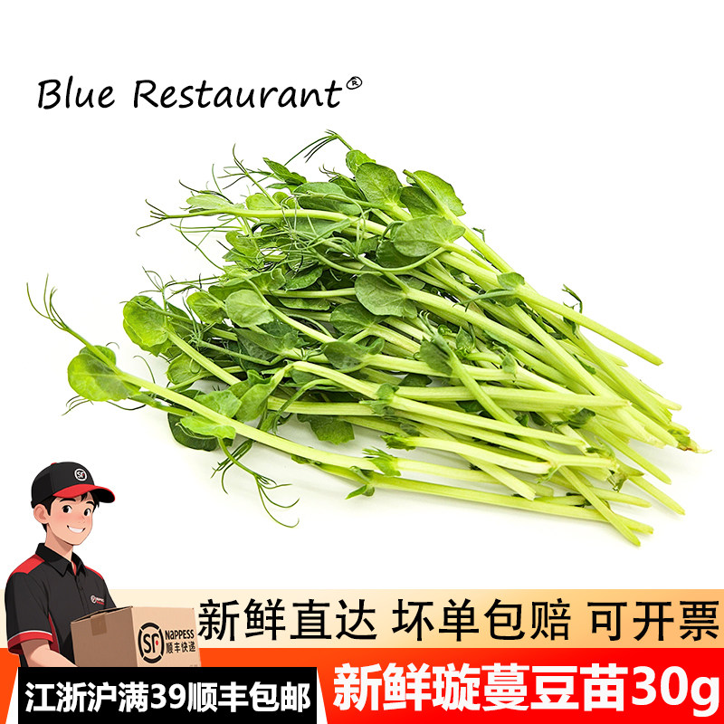 新鲜璇蔓豆苗30g烘焙甜品点缀