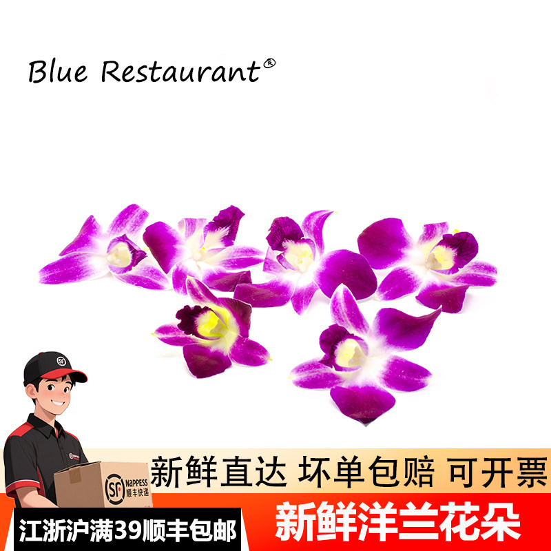 蓝餐厅新鲜泰国杨兰花洋兰花500g石斛兰酒店西餐冷菜摆盘装饰点缀
