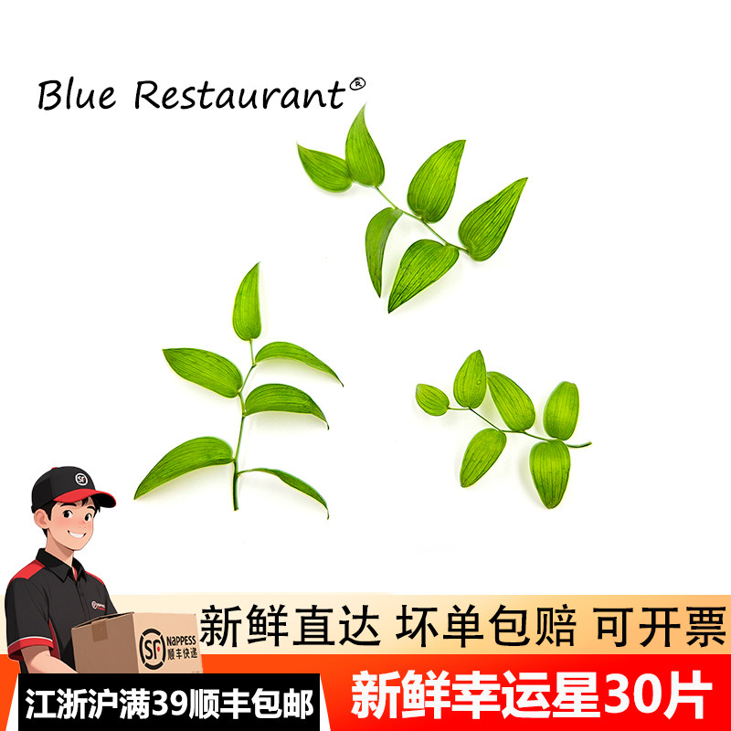 新鲜幸运星 阔叶舞竹 幸运草 腾树苗 酒店冷摆盘花草一盒30片