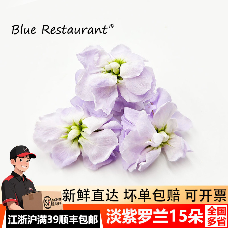 新鲜淡紫色罗兰花点缀西餐蛋糕