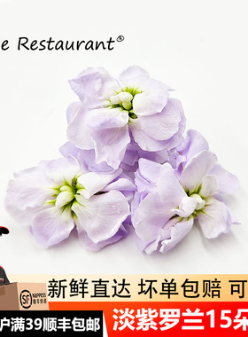 新鲜淡紫色罗兰花点缀西餐蛋糕烘焙饮品调酒冷菜菜品摆盘装饰花草