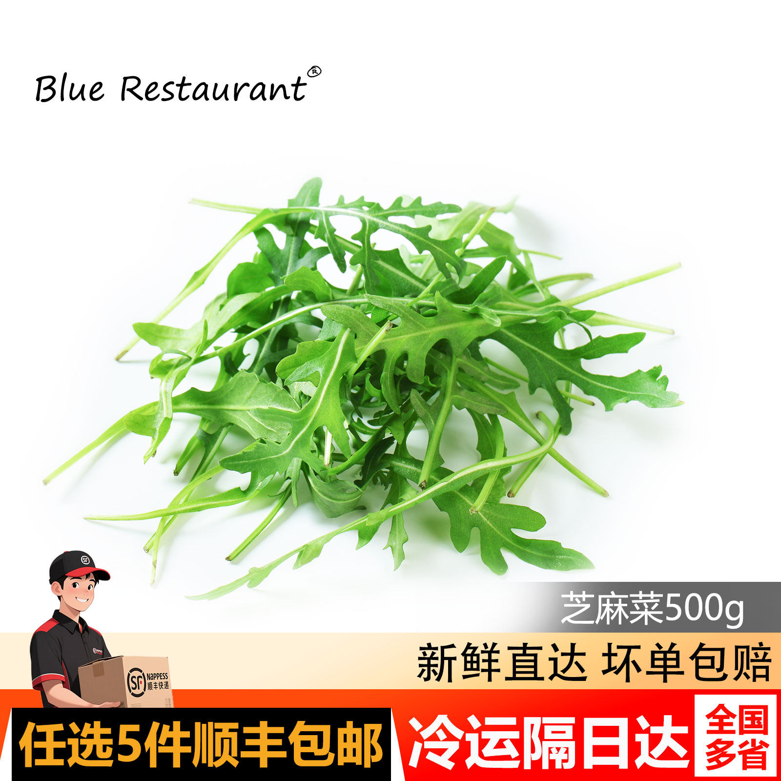 【蓝餐厅】芝麻菜500g生菜