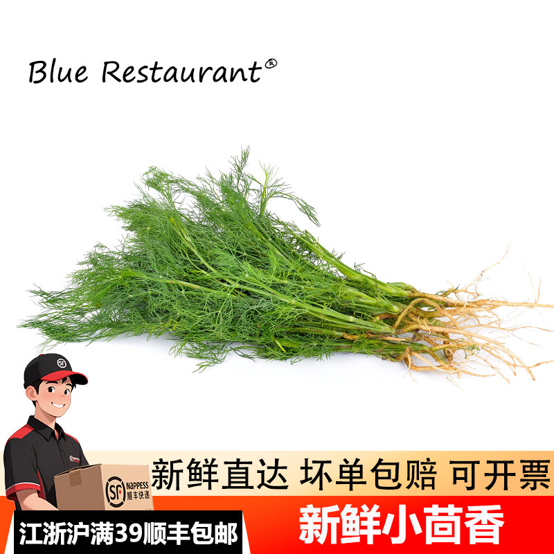 蓝餐厅新鲜茴香叶500g