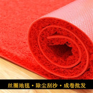 进门地垫薄防水防滑塑料厚地毯入户门垫pvc丝圈压边整卷定制logo