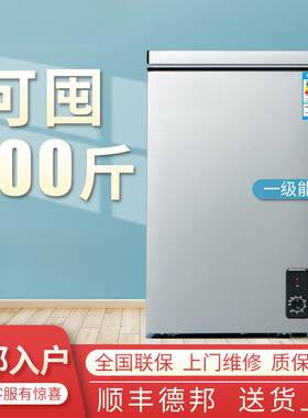 小冰柜家用小型二人冰箱大容量冷藏冷冻迷你特价冷冻柜商用