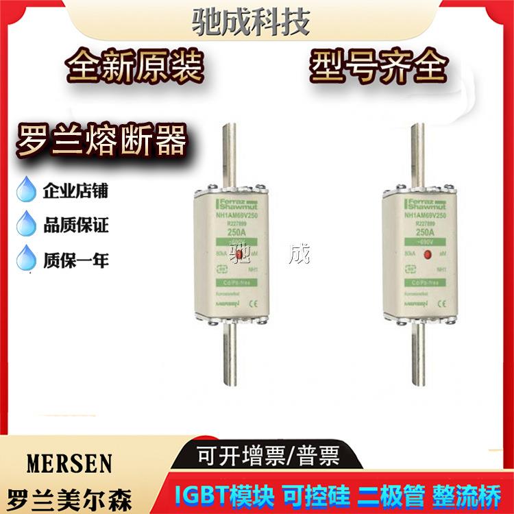NH1AM69V25NH1AM69V32NH1AM69V35快速熔断器供应欢迎咨询