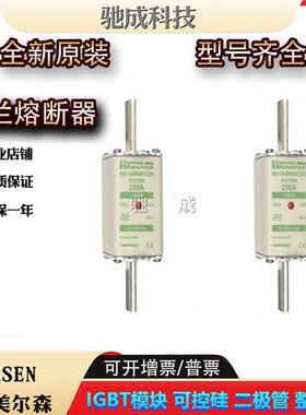 NH1AM69V25NH1AM69V32NH1AM69V35快速熔断器供应欢迎咨询