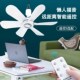 小吊扇学生宿舍蚊帐吊扇静音小风扇床上迷你吊扇家用电风扇大风力