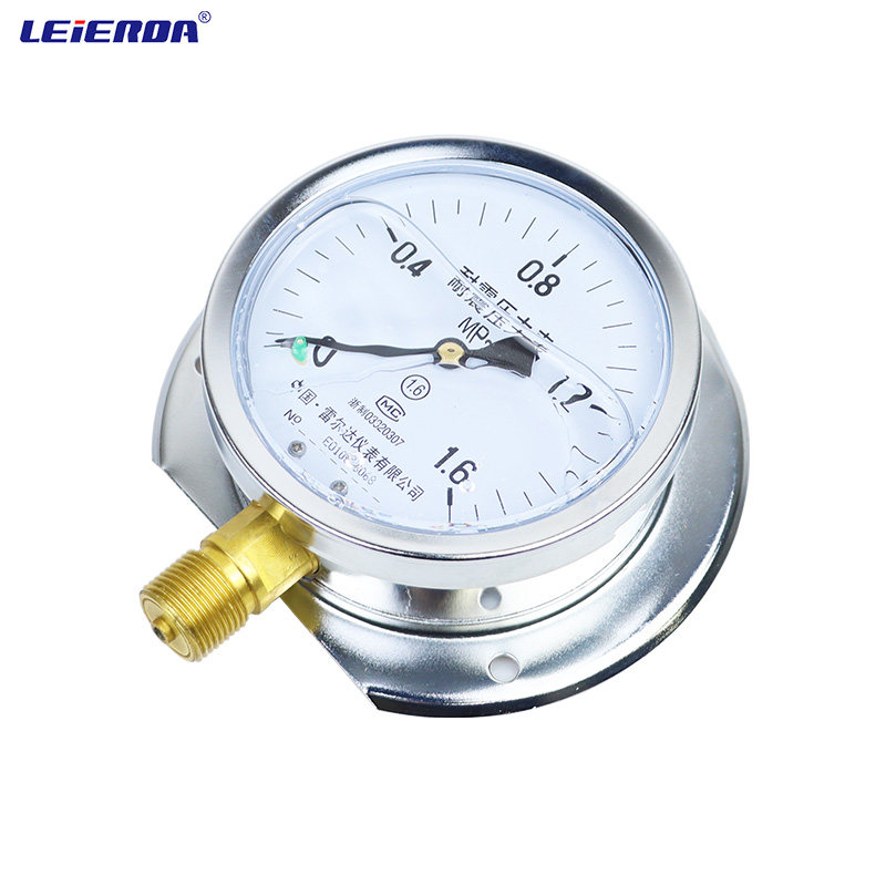 雷尔达 船用耐震防震压力表凸装式 YN-100T 气压液压 径向带后边