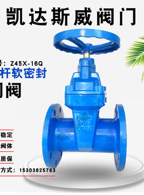 Z45X-16暗杆软密封手动法兰闸阀DN40 65 80 100 1250 150 200 250