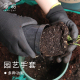 园艺手套防刺防水防割防扎鹰爪手套挖土换土种菜种花拔草防护手套