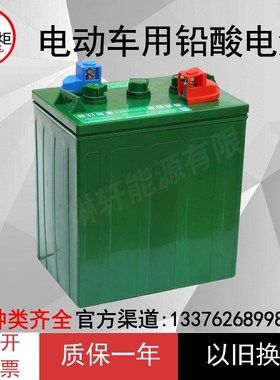火炬电池3DG180/3DG230/4DG140/6DG160/6GMF85电动车电瓶铅蓄电池
