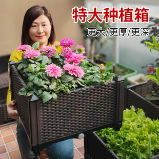 特大号阳台种菜楼顶种花箱室内露台长方形花盆蔬菜种植箱庭院花盆