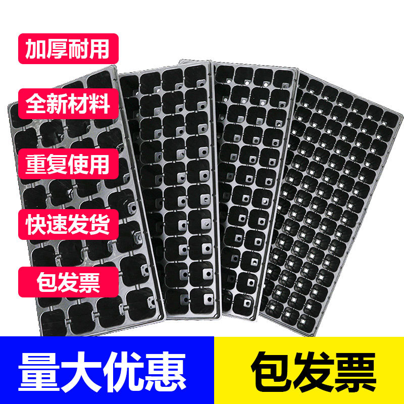 批发105孔育苗穴盘草莓蔬菜