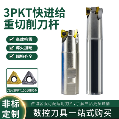 3PTE刀杆CNC数控快进给铣刀杆
