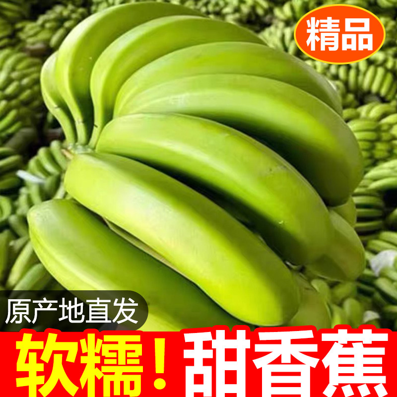 正宗广西高山绿皮香蕉5斤!