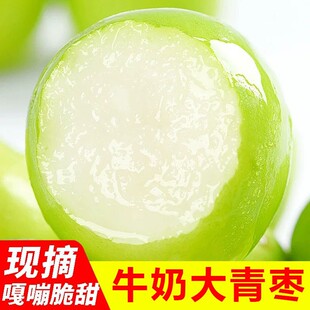 福建牛奶大青枣5新鲜枣子贵妃冬枣时令水果当季整箱奶油脆枣