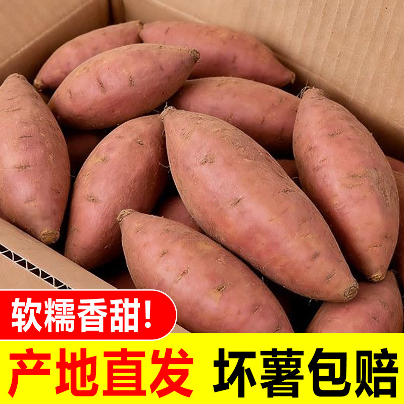 红心蜜薯现挖板栗红薯新鲜地瓜糖心番薯沙地农家自种山芋小香薯5