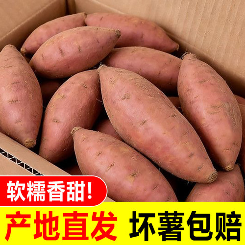 红心蜜薯现挖板栗红薯新鲜地瓜糖心番薯沙地农家自种山芋小香薯5