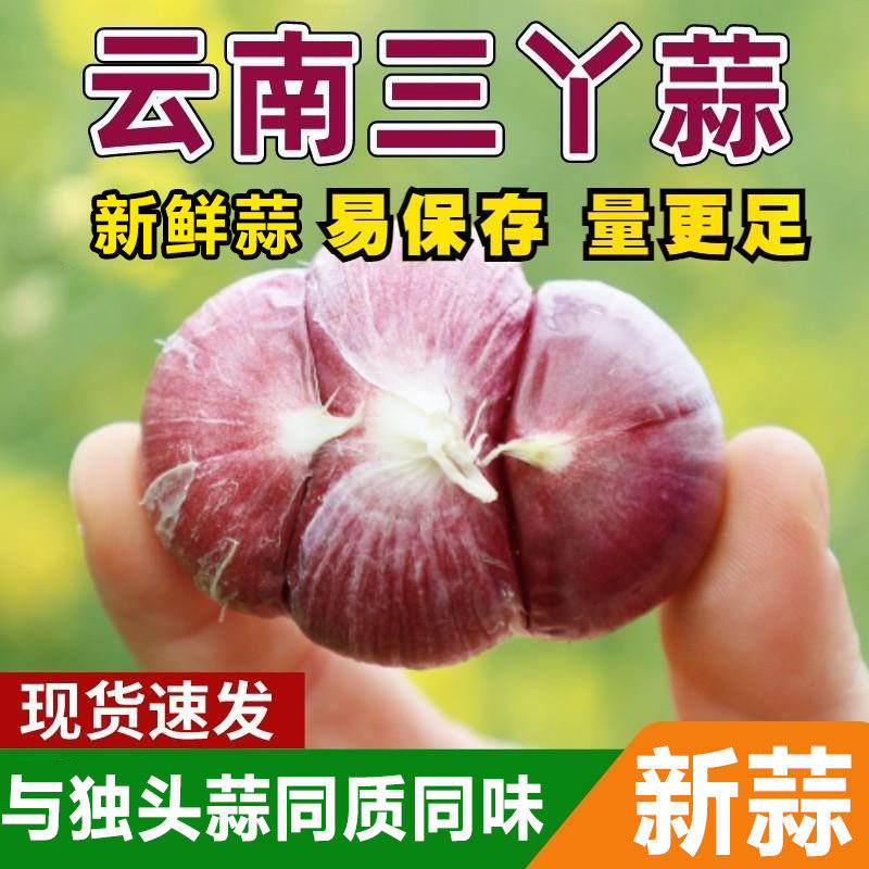 新鲜大理三丫蒜云南紫皮大蒜三瓣蒜干蒜头独头蒜同味农家自种疏菜