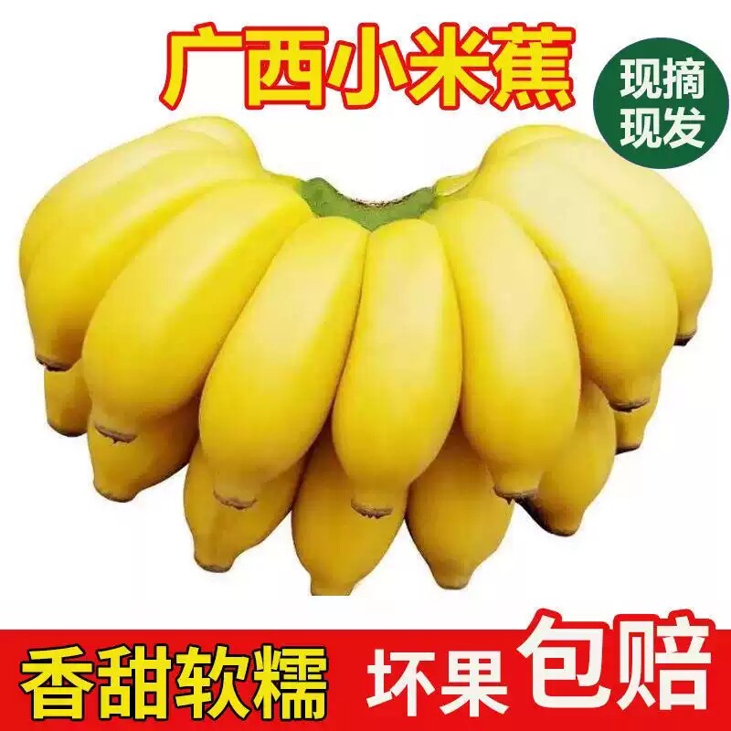 广西小米蕉自然熟5斤！