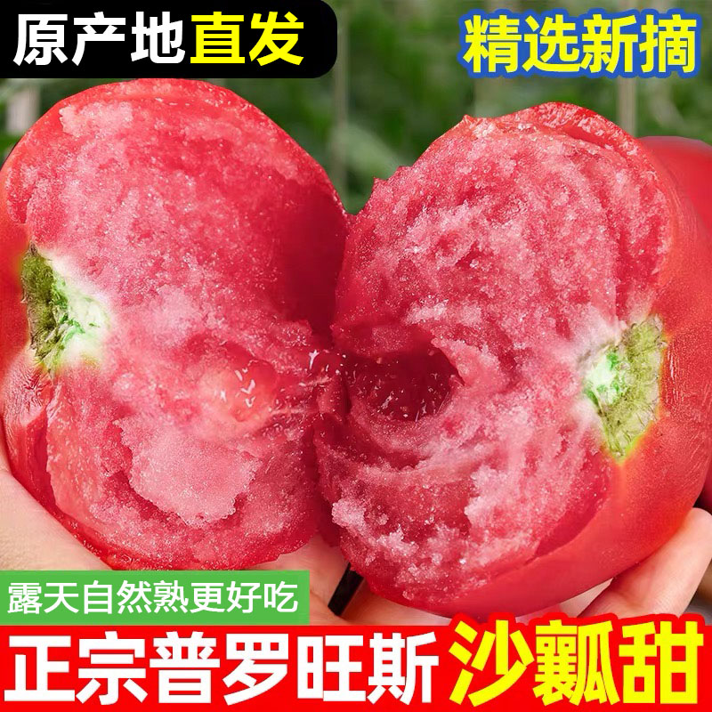 攀枝花普罗旺斯西红柿沙瓤新鲜自然熟应季水果番茄生吃5斤包邮
