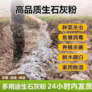 生石灰种菜专用杀虫正宗石灰粉干燥剂除湿家用鱼塘消毒白灰粉防虫
