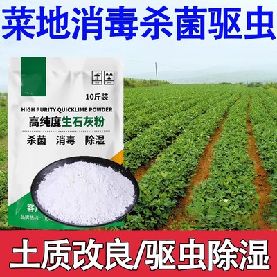生石灰粉杀虫种菜10斤消毒灭菌