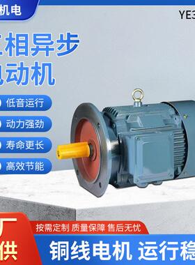 380v三相异步电动机YE3系列1.1w8极电机配风机水泵等机械设备用