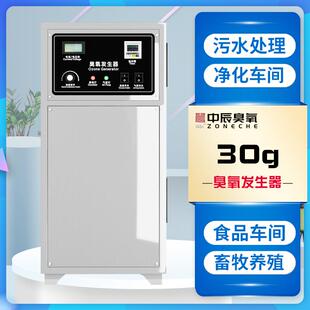 中辰30克水冷臭氧发生器水处理ZCA-30桶装水泳池水养殖杀菌除菌