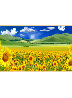 现代客厅装饰画沙发背景墙挂画太阳向日葵卧室房间壁画