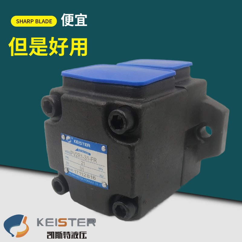 凯斯特高压叶片泵PV2R1 PV2R2低噪音油泵17/19/23/31/47/65/53-FR
