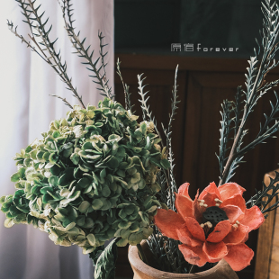 天然风干羊齿叶干相框装 插干枝 饰画制作环材料客厅软装