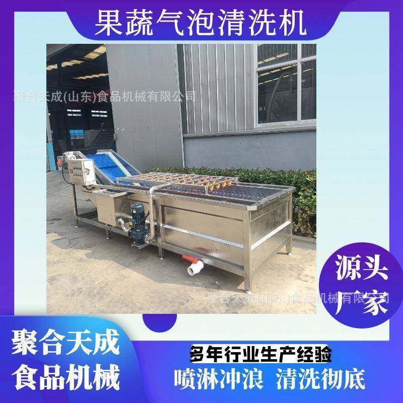 商用全自动气泡清洗机山楂苹果清洗设备大型蔬菜清洗线柑橘清洗机