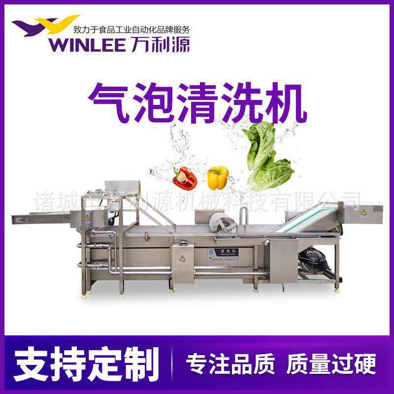 商用果蔬气泡清洗机柠檬压喷淋清洗设备辣椒西红柿清洗机设备