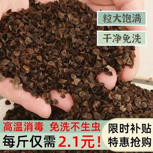 荞麦壳散装护10免洗枕芯填充物成人儿童斤颈椎枕头荞麦荞麦皮全