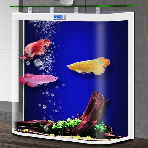 鱼缸客厅热弯落地免换水生态水族箱公司家用靠墙观赏金鱼缸背过滤