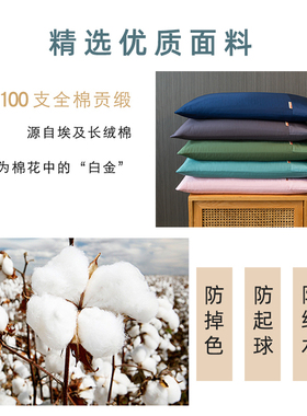 100支长绒棉贡缎枕套枕头套一对装家用单个信封枕30x50cm40x70cm