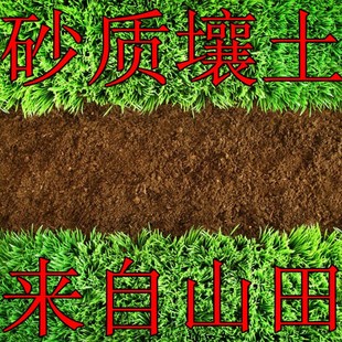 山地砂质壤土养花种菜种植营养土肥料河沙腐殖土风化砂叶岩土包邮