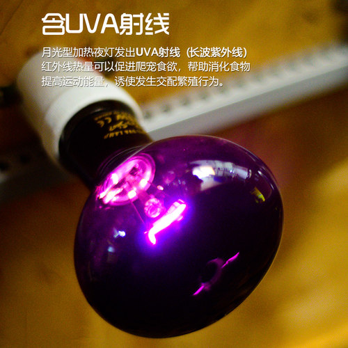爬虫UVA夜灯陆龟变色龙蜥蜴陆龟夜间加热加温爬宠饲养箱保温月光