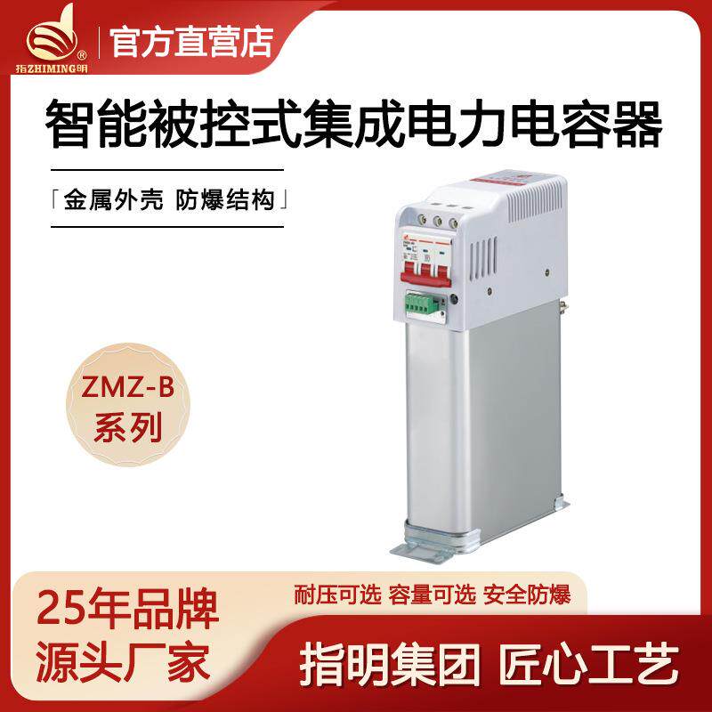 集团智能被控集成电力电容器厂家直供ZMZ-CS/450-10-3B
