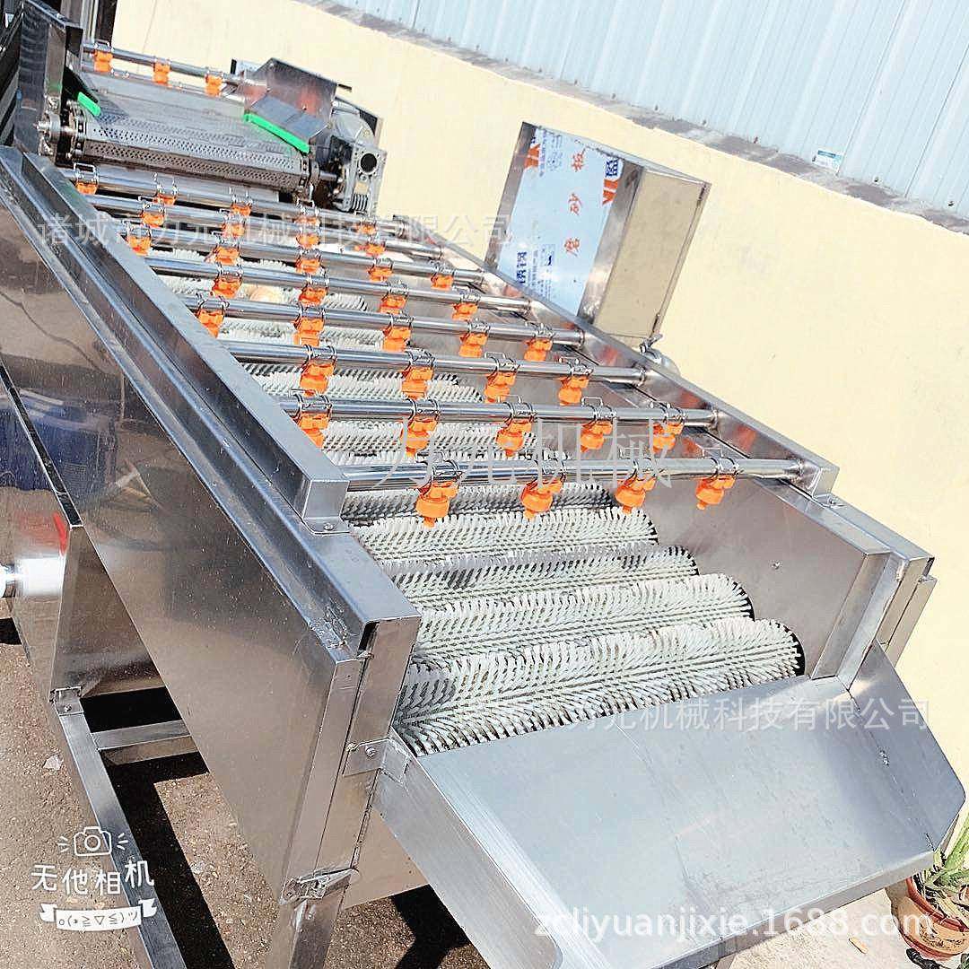 海螺去泥清洗机平行式毛辊清洗机海鲜贝壳毛刷清洗去泥沙清洗机,清洗/食品/商业设备,其他食品加工设备,淘宝优惠券,粉丝福利购,淘宝优惠卷