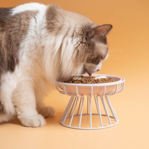 高脚狗碗陶瓷猫碗宠物碗护颈猫食碗饭碗猫盘子罐头盘零食盘铁架碗